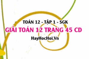 Giải Toán 12 trang 45 tập 1 Cánh Diều